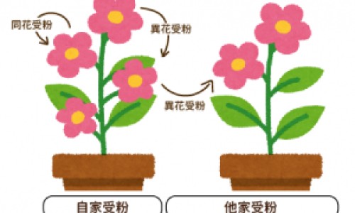 子宫内膜薄中医叫什么-中医治子宫内膜薄的效果怎样网子宫内膜薄中药调理方法知识网站,分享子宫内膜薄中医辨证论治大全